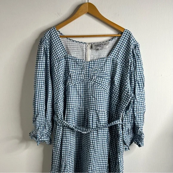 Leah Ryder x JessaKae Blue Gingham Dress Size 3X